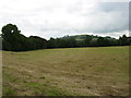 N5477 : Farmland near Oldcastle by David Purchase