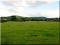 Bullfinch Croft/Broomy Mead/Lower Mead