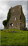 N6436 : Castles of Leinster: Carrick, Kildare (3) by Mike Searle