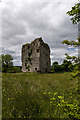 N1567 : Castles of Leinster: Castlerea, Longford (1) by Mike Searle