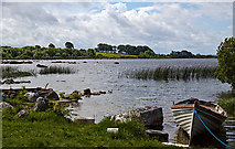 M2837 : Lough Corrib, Annaghdown, Galway by Mike Searle
