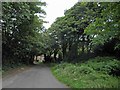 Leek Old Road near Longsdon