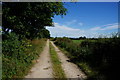 Halfacres Lane towards Ponds Farm