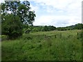 NU0900 : Rough pasture below Healey by Russel Wills