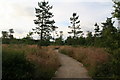 Path behind the Sutton Bank National Park Centre