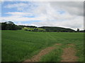 Field  and  Woodland  west  of  Stark  Bank  Road