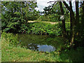 River Wey, Byfleet