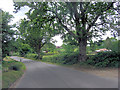 Ringwood Road at the edge of The Forest