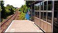 Falmouth Town station platform and shelter