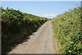 Lane near Polkerth Farm