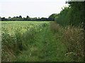 TL4052 : Footpath to Haslingfield by Hugh Venables