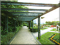 Brookmill Park:pergola