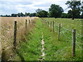 Footpath through Osterley Park