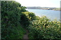 SW7826 : The South West Coast Path above the Helford River by Bill Boaden