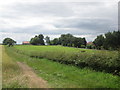 Field access track near East Ings