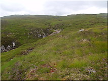 NN4248 : Caochan an Eich Bhuidhe flowing off Glen Lyon hills towards Barracks Wood, Rannoch by ian shiell