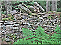 Old wall in the woods at Culbokie