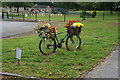 Tour De France Floral  Bike