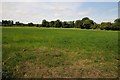 Field beside Chelvey Lane