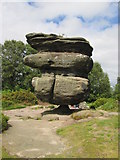 SE2065 : The  Idol  Brimham  Rocks by Martin Dawes