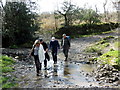 Nant Dolgwm Stream