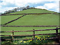 Bryngaer Pen y Gaer Hillfort