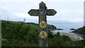 On the Wales Coast Path in Solva, Pembs