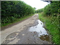 Elmstone Hole Road seen from the Greensand Way