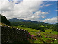 Tir amaethyddol islaw Y Foel / Farmland below Y Foel