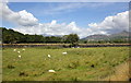 View towards Snowdon from the WHR