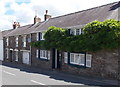 Guest house in Gosport Street, Laugharne