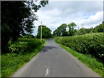 H4372 : Aghnamoyle Road, Mullaghmenagh Upper by Kenneth  Allen