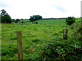 Mullaghmenagh Upper Townland