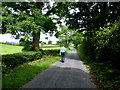 Mullaghmena Road, Mullaghmenagh Upper