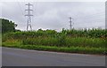 Electricity pylons near East Claydon Substation, Bucks