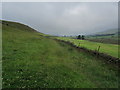 Pendle Way in the Sabden Valley