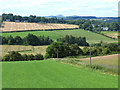 Fields below Mount Ulston