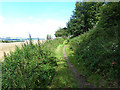 Borders Abbeys Way at Mount Ulston