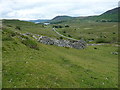 Ruined shelter at Grib Las, below Y Foel