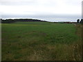 Farmland, Standingstone