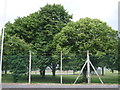 Perimeter fence and trees