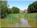 Pond, Primrose close, Burgess Hill