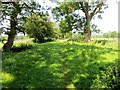 Footpath near Barrow