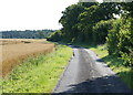 Minster Way towards Millfield Wood