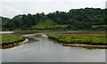 SY2590 : Axe estuary on a falling tide [5] by Christine Johnstone