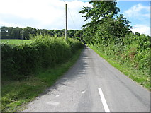 W8898 : Minor road at Kilbarry by David Purchase