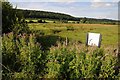 Nature reserve at Walton in Gordano