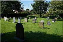 SE6755 : The Graveyard at St Mary's Church, Warthill by Ian S