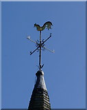 SE6755 : Wind vane at St Mary's Church, Warthill by Ian S
