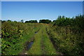 Brockfield Lane towards Stockton on the Forest